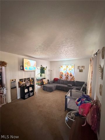 1217 Park Avenue SW, Canton, OH 44706