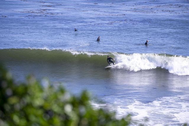 1610 Bulb Avenue, Santa Cruz, CA 95062