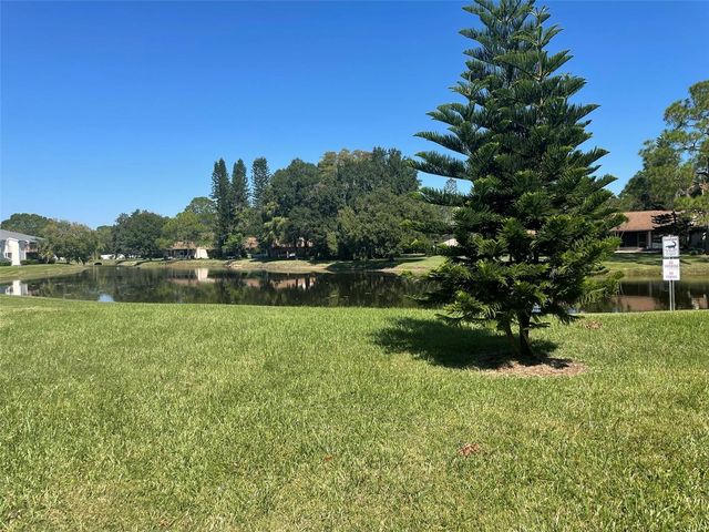 139 HUNTER LAKE DRIVE B, Oldsmar, FL 34677