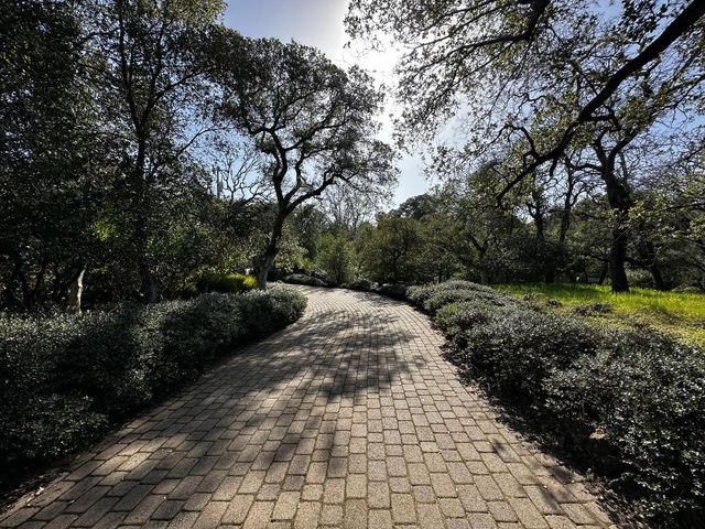 578 CRESTA VISTA Lane, Portola Valley, CA 94028