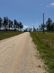 TBD 37 Reveille Road, Livingston, TX 77351
