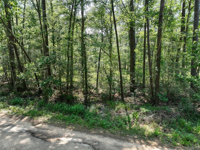 000 Fairway Dr, New Caney, TX 77357