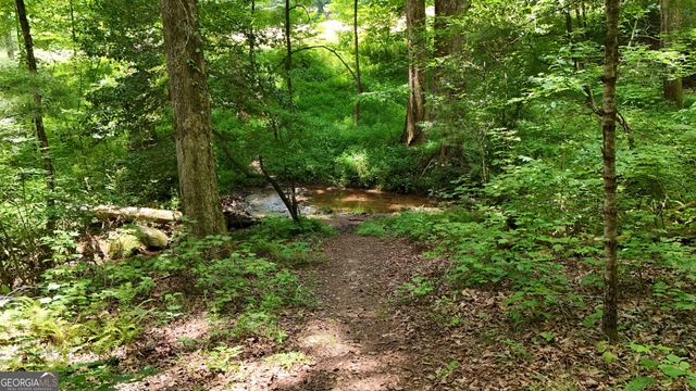 159 Prospect Trail, Cleveland, GA 30528