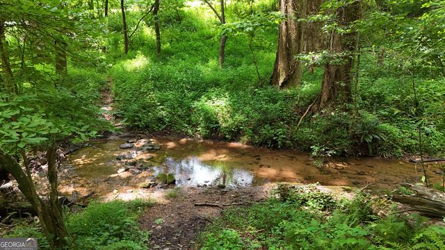 159 Prospect Trail, Cleveland, GA 30528