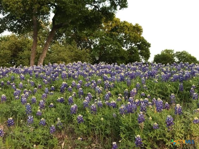 122 Passade, New Braunfels, TX 78132