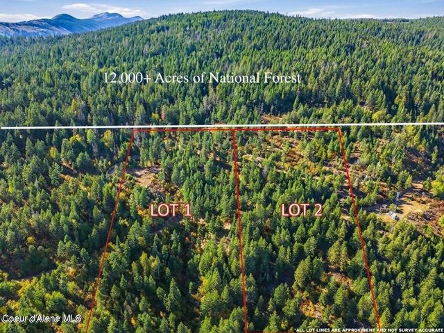 LT 1/LT 2 Juniper Ln., Naples, ID 83847 property photo