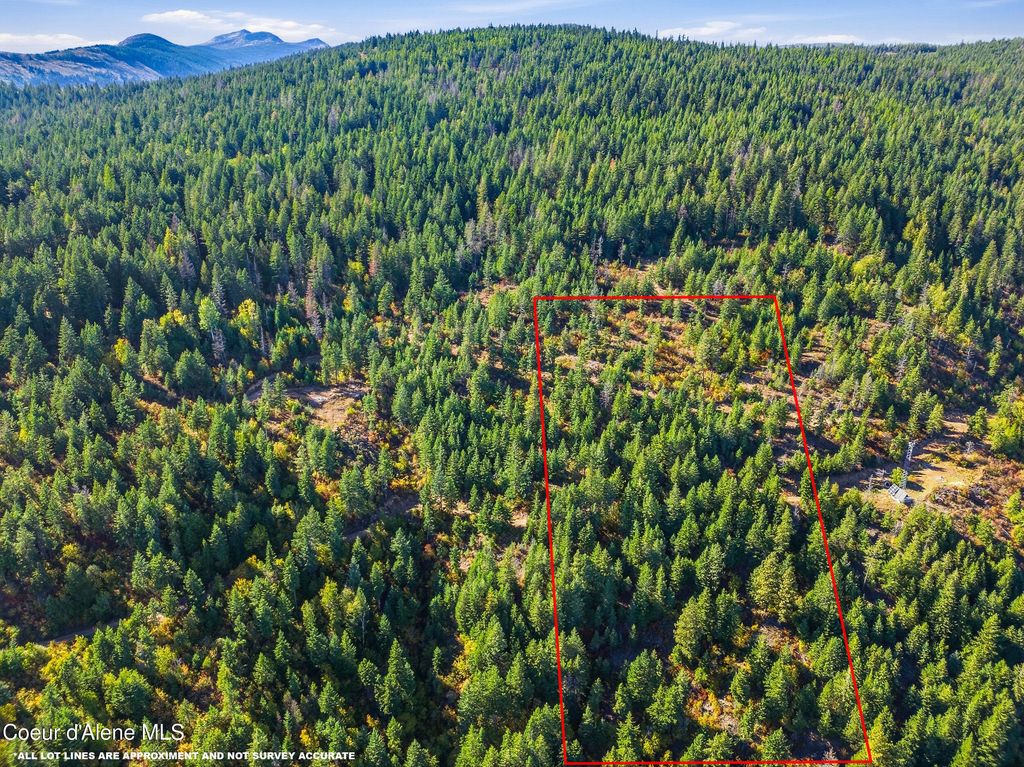 LT 1/LT 2 Juniper Ln., Naples, ID 83847 photo 2