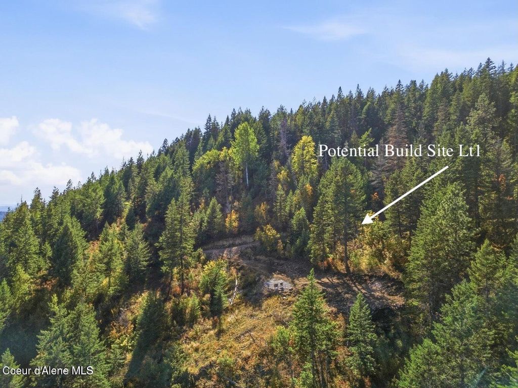 LT 1/LT 2 Juniper Ln., Naples, ID 83847 photo 4