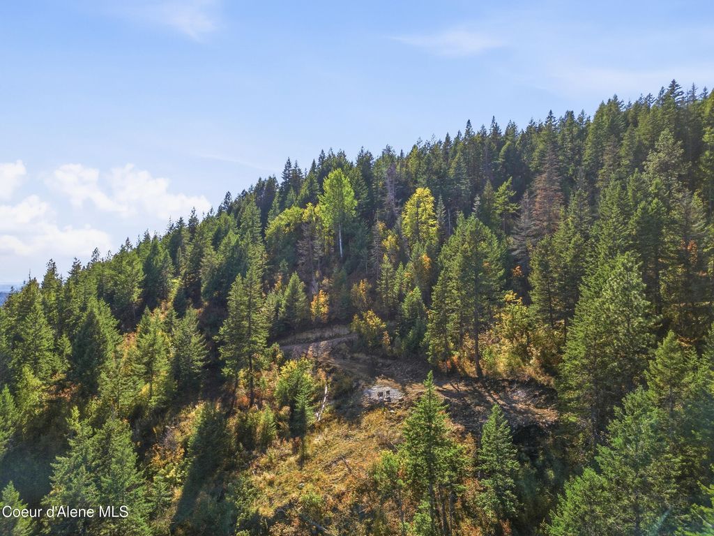 LT 1/LT 2 Juniper Ln., Naples, ID 83847 photo 5