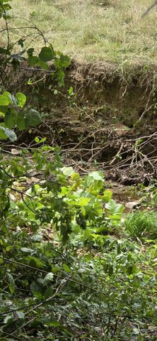 5387 Highway 230, W, Mc Ewen, TN 37101