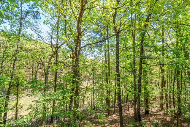 53 Halcon Place, Hot Springs Village, AR 71909