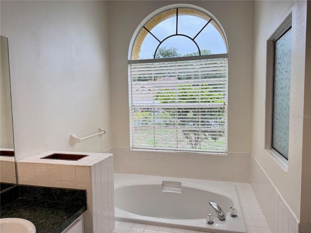1959 WOOD TRAIL STREET, Tarpon Springs, FL 34689