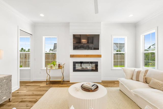 11 Bunting Lane, Inlet Beach, FL 32461