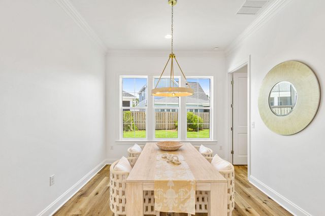 11 Bunting Lane, Inlet Beach, FL 32461