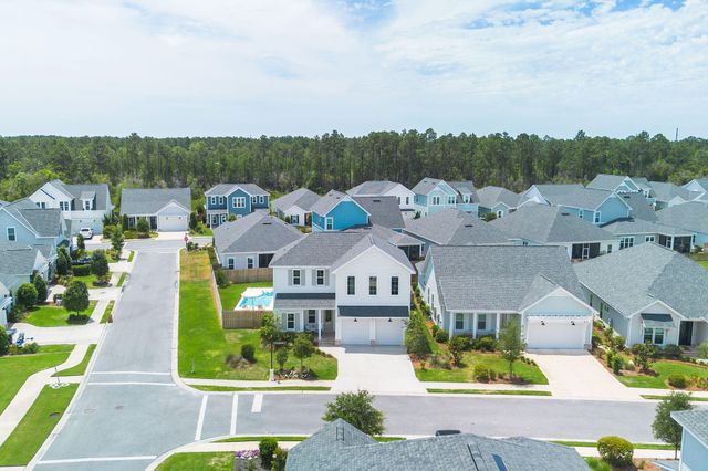 11 Bunting Lane, Inlet Beach, FL 32461