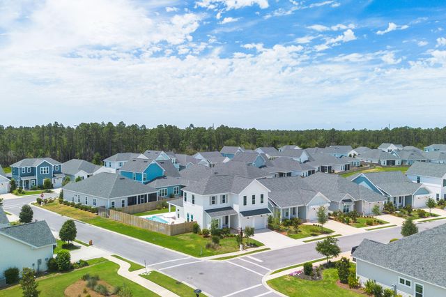 11 Bunting Lane, Inlet Beach, FL 32461