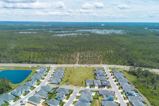 11 Bunting Lane, Inlet Beach, FL 32461