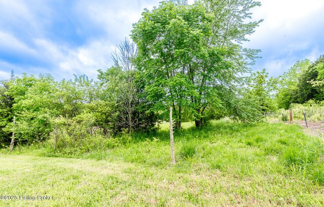 971 Constantine Rd, Cecilia, KY 42724