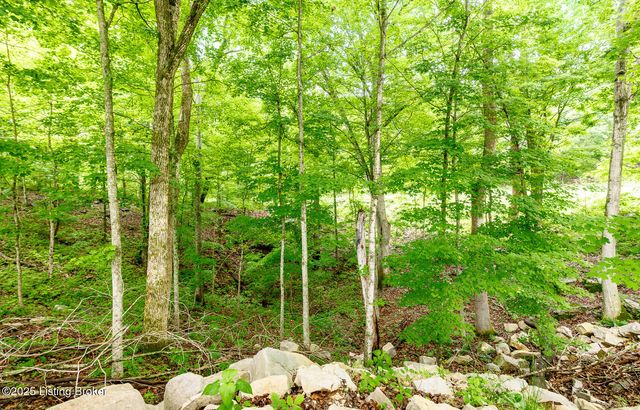 971 Constantine Rd, Cecilia, KY 42724