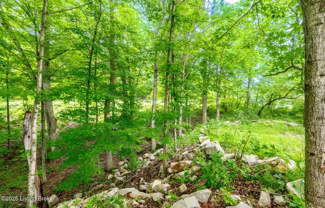 971 Constantine Rd, Cecilia, KY 42724