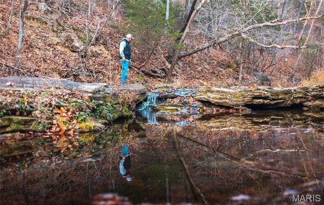 16470 Maries Road 521, Vichy, MO 65580