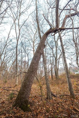 16470 Maries Road 521, Vichy, MO 65580