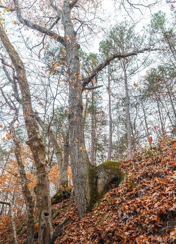 16470 Maries Road 521, Vichy, MO 65580