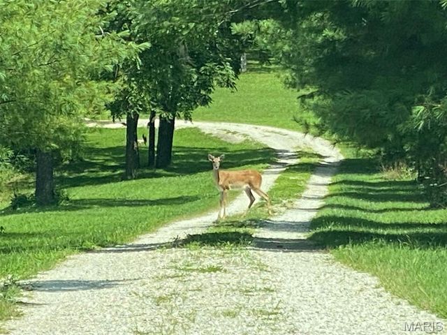 16470 Maries Road 521, Vichy, MO 65580