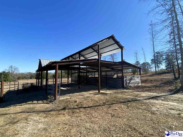 173 A Burlington Dr, Society Hill, SC 29593