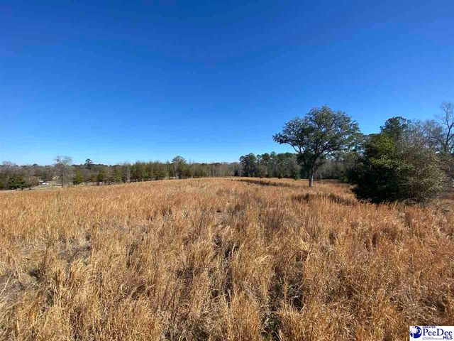 173 A Burlington Dr, Society Hill, SC 29593