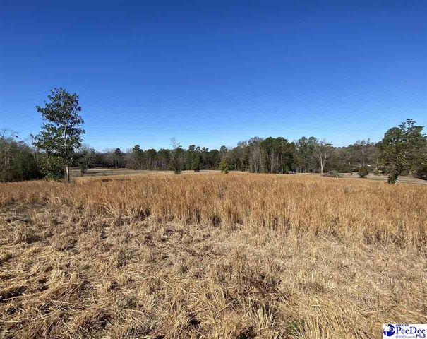 173 A Burlington Dr, Society Hill, SC 29593