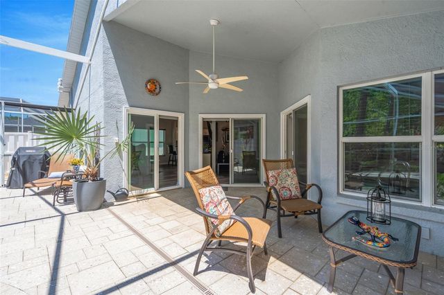 14524 WEEPING ELM DRIVE, Tampa, FL 33626