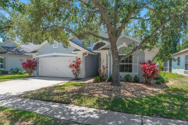 14524 WEEPING ELM DRIVE, Tampa, FL 33626