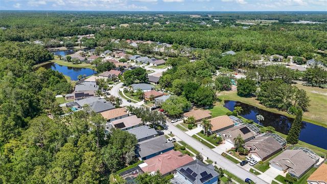 14524 WEEPING ELM DRIVE, Tampa, FL 33626