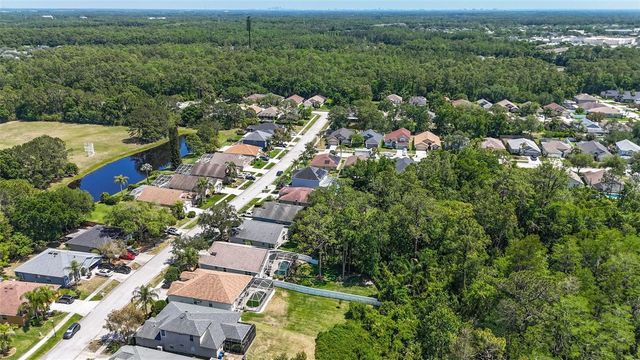 14524 WEEPING ELM DRIVE, Tampa, FL 33626