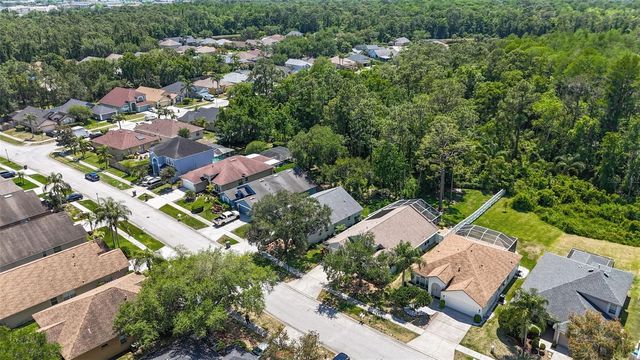 14524 WEEPING ELM DRIVE, Tampa, FL 33626