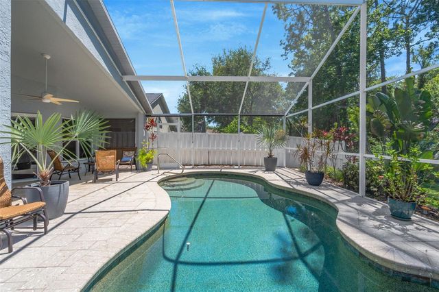 14524 WEEPING ELM DRIVE, Tampa, FL 33626