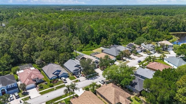 14524 WEEPING ELM DRIVE, Tampa, FL 33626