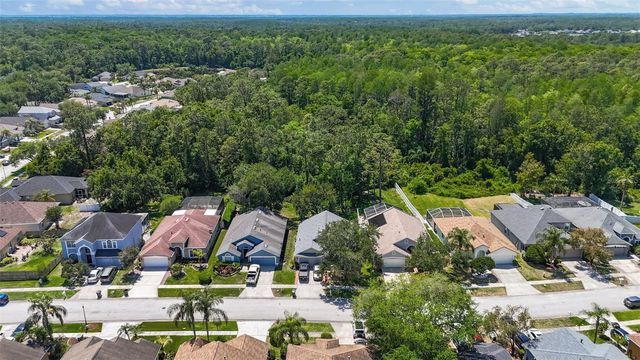 14524 WEEPING ELM DRIVE, Tampa, FL 33626