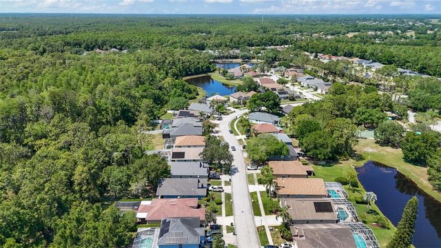 14524 WEEPING ELM DRIVE, Tampa, FL 33626