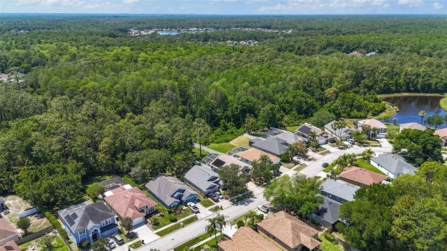 14524 WEEPING ELM DRIVE, Tampa, FL 33626