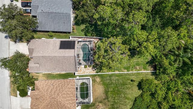 14524 WEEPING ELM DRIVE, Tampa, FL 33626