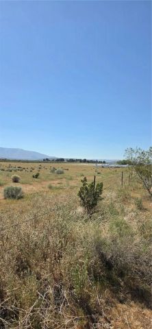 0 175th St E W10, Llano, CA 93591