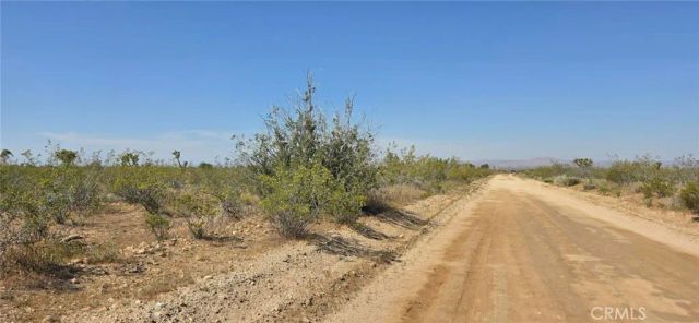0 175th St E W10, Llano, CA 93591