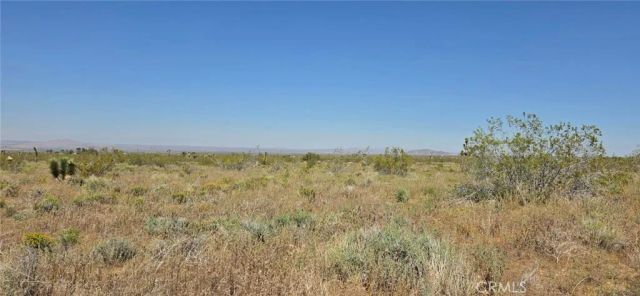 0 175th St E W10, Llano, CA 93591