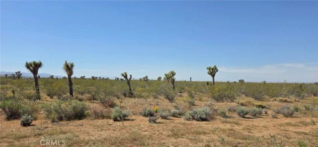0 175th St E W10, Llano, CA 93591