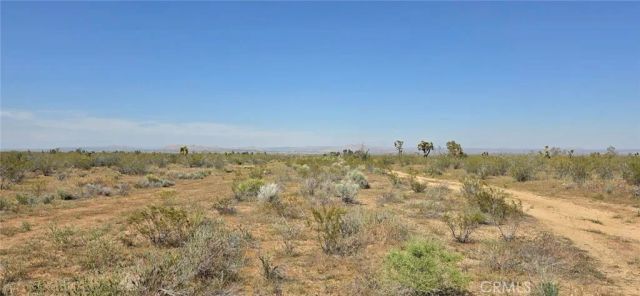 0 175th St E W10, Llano, CA 93591