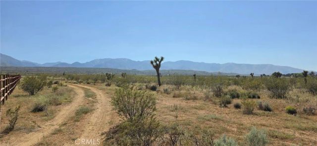 0 175th St E W10, Llano, CA 93591