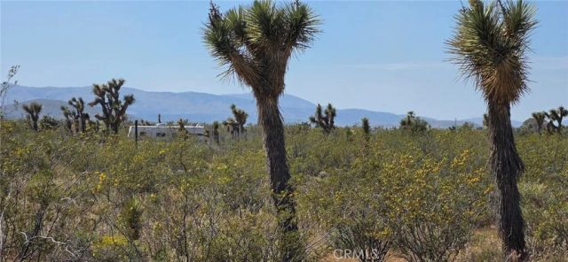 0 175th St E W10, Llano, CA 93591