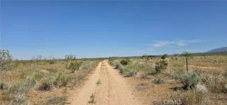 0 175th St E W10, Llano, CA 93591